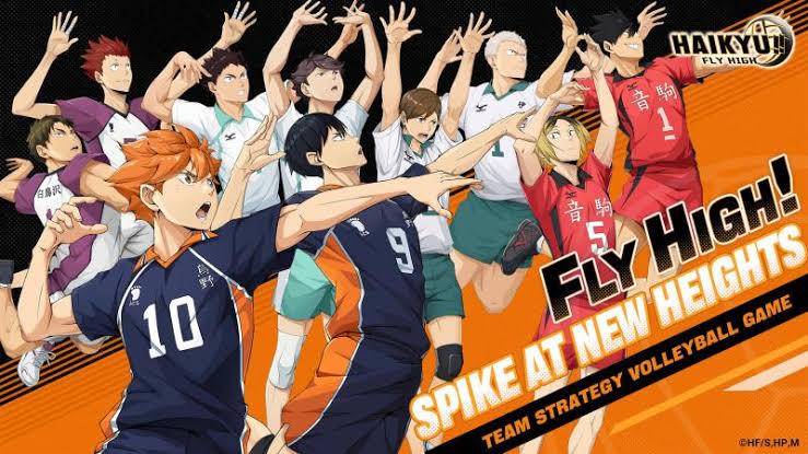 Haikyu Fly High